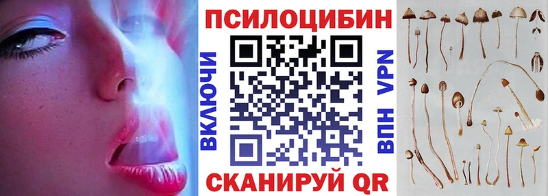 Псилоцибиновые грибы прущие грибы  купить наркотик  Туринск 